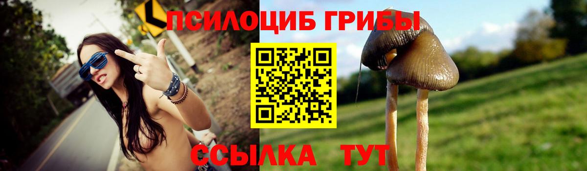 Галлюциногенные грибы прущие грибы Тельмана